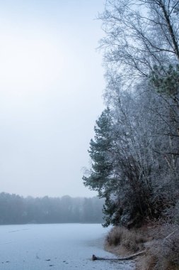 This image offers a glimpse into a tranquil winter morning by the lake, where the frost has gently adorned the trees and the quiet water mirrors the stillness of the season. The mist hangs above the