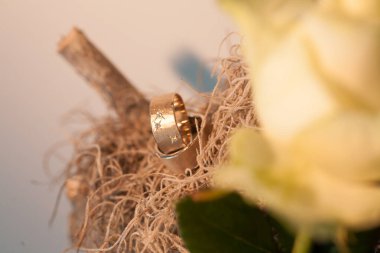 Yumuşak odaklı sarı güllerle çevrili narin bir dal üzerine yerleştirilmiş alyans aşkı ve bağlılığı simgeler.