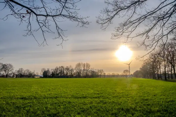 stock image This image captures the radiant beauty of dawn as the sun breaks over a lush green meadow. The barren branches in the foreground are a stark reminder of the winter season, yet the warmth of the sun