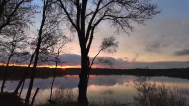 Gün batımında sakin bir göl siluetli ağaçlar, durgun su ve canlı gökyüzü renkleri sakin bir atmosfer yaratıyor..