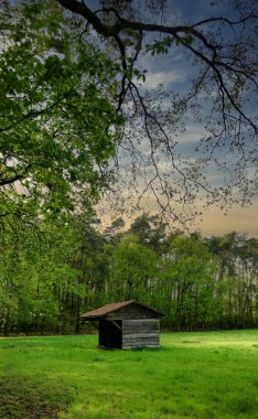 Bereketli yeşil bir ormanda, sakin bir ahşap kulübe çarpıcı bir günbatımı gökyüzünün altında huzurlu bir atmosfer yaratır.