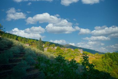 Berrak mavi gökyüzü, beyaz bulutlar ve yemyeşil yemyeşil ile çarpıcı bir dağ manzarasının tadını çıkar.