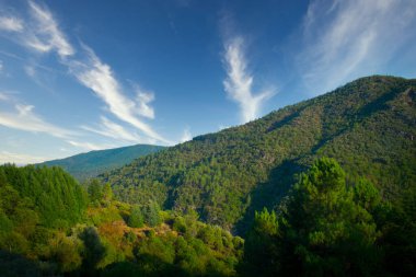 Manzara, açık mavi gökyüzü ve ince bulutlar altında yeşil yapraklı nefes kesici bir dağ manzarasına sahiptir.