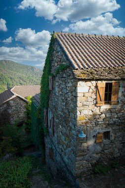 Sarmaşıklarla kaplı antik bir taş ev canlı mavi gökyüzünün altında sakin kırsal kesimde duruyor.