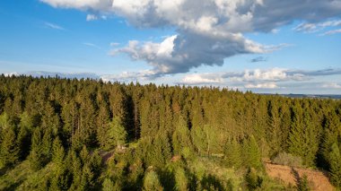 Gün batımında bulutlarla dolu pitoresk bir gökyüzünün altında yemyeşil bir çam ormanının hava perspektifi