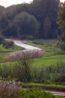 Açık mavi bir gökyüzünün altında ağaçlarla dolu yemyeşil bir tarladan geçen bir yolun resimsel bir sahnesi.