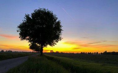 Güzel bir günbatımı manzarası sessiz bir kırsal yolun yanında siluetli bir ağaç, dingin doğasını sergiliyor.