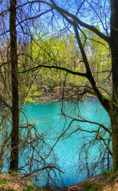 Güneşli ağaçlar ve dallarla çevrili berrak mavi suyu olan sakin bir orman gölü manzarası..