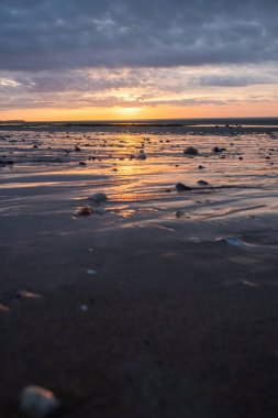 Sakin okyanus dalgaları üzerinde sakin gün batımı güzel bir gökyüzü ve kumlu kıyı şeridi, rahatlamak için mükemmel..