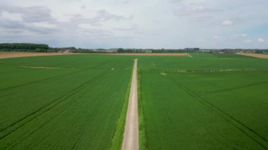 Uçsuz bucaksız yeşil tarlaların gökyüzünün altında ufuk çizgisine uzanan merkezi toprak bir yol..