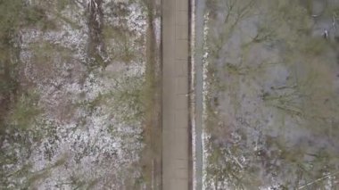 Hava perspektifi, bir su kaynağının yakınındaki karla kaplı ağaçlarla kaplı bataklıkta kıvrılan kışın bir yol gösteriyor.