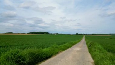 Ufuk çizgisine uzanan kırsal bir yol huzurlu kırsal kesimin nefes kesen panoramik manzarasını sunuyor.