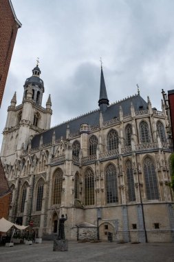 Halle, Belçika, 15 Mayıs, 2024, bir şehrin önde gelen bir özelliği, etkileyici ortaçağ mimarisini tasvir eden ve tarihi bir armatür olarak hizmet veren, çan kulesine sahip büyük bir kilisedir.