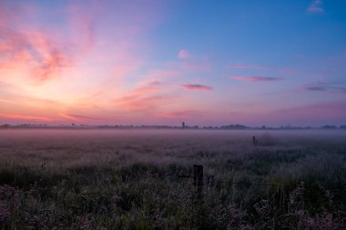 Pembe bulutlarla dolu sisli bir tarlada güzel bir gün doğumu huzur ve huzur verici bir manzara yaratıyor..