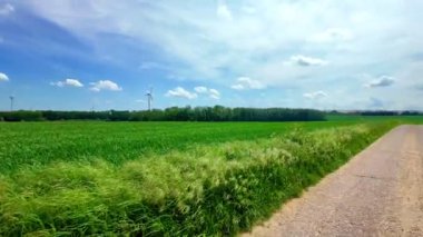 Canlı bir manzara, yemyeşil, mavi gökyüzü ve kabarık bulutlar, doğal tasarım için mükemmel.