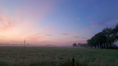 Huzurlu ve huzurlu bir gün doğumu ağaçlarla dolu sisli, yemyeşil bir tarlaya büyüleyici renkler saçar.