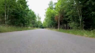 Huzurlu ve huzurlu, boş bir yol sakin bir ormanın içinden geçiyor, çevrendeki canlı yeşil ağaçlar tarafından kucaklanıyor.