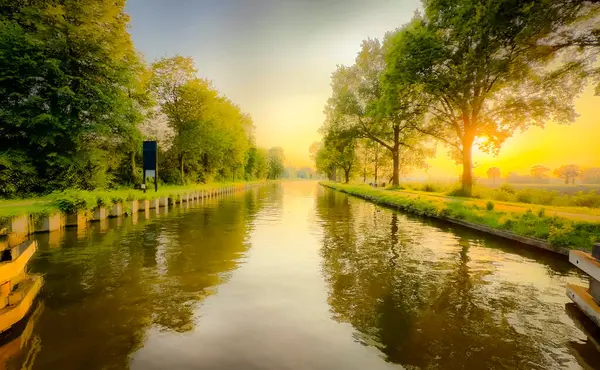 Şafak vakti dingin ve huzurlu bir nehir manzarası, canlı ağaçlar tarafından güzel çerçevelenmiş ve yumuşak sabah ışığı tarafından vurgulanmış.