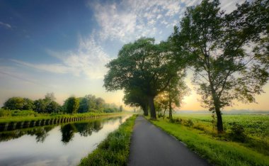 Huzurlu bir nehir manzarası canlı ağaçlar ve sakin sularla çevrili büyüleyici bir yol sergiliyor.
