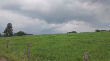 Geniş yeşil alanlar geniş bulutlu gökyüzü altında sonsuz kadar uzanıyor ve onları çeşitli doğa temaları için mükemmel hale getiriyor.