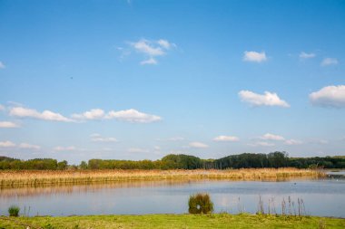 Huzurlu ve sakin bir manzara, parlak mavi gökyüzünün altında canlı yemyeşil bir göl sergiliyor.