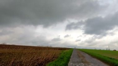 Tarım arazisiyle çevrili sakin bir kırsal yol, kasvetli bir gökyüzünün altında, huzurlu ve güzel bir manzara yaratıyor.