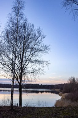 Huzurlu ve sakin bir göl manzarası çıplak ağaçlarla dolu canlı bir alacakaranlık altında güzel bir tezat.