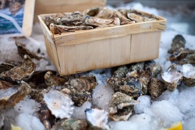 Taze istiridyeler buz üstünde sade bir sepetin içinde, deniz ürünlerini sevenler için her yemek için mükemmel.