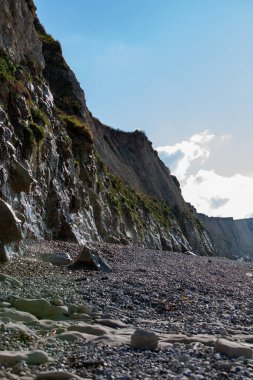 Görkemli uçurumlar, canlı bir gökyüzünün altında kayalık kıyı şeridini karşılıyor, çarpıcı doğaları sergiliyor.