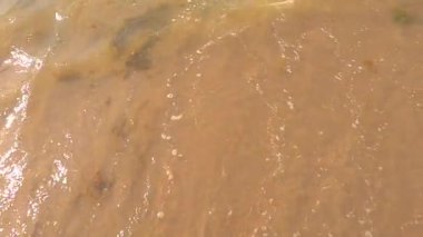 Yumuşak dalgaların güzel ve huzurlu manzarası kumlu sahilde kahverengi sularda zarifçe süzülüyor.