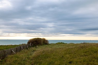 Okyanus manzaralı sakin kıyı manzarası, çimenli arazi, akşam ışığında bulutlu gökyüzü, barışçıl bir atmosfer yaratıyor.