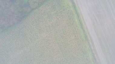 Sersemletici hava fotoğrafçılığı, sakin tarım arazilerinin ve genişleyen alanların nefes kesici bir görüntüsünü yakalıyor.