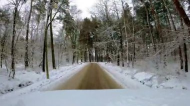 Sakin ve sakin bir kış sahnesi karla kaplı bir yolu gözler önüne seriyor heybetli uzun ağaçlarla çevrili.