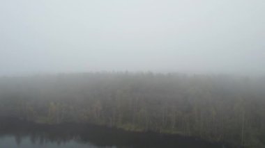 Sisli bir arazinin güzel ve sakin bir görüntüsü sakin bir su kütlesinin yüzeyine mükemmel bir şekilde yansıyor.