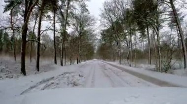 Sakin bir kış ormanında, karla kaplı, dolambaçlı bir yolun huzurlu manzarasına hayran olmak için bir dakikanızı ayırın.