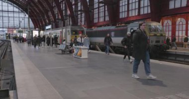 Merkez İstasyonu, Antwerp, Belçika, 15 Ağustos 2024, banliyö, çeşitli trenler ve çarpıcı mimari tasarım ile dolu canlı ve hareketli bir tren istasyonu.