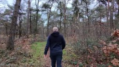 Uzun ağaçlar ve düşmüş yapraklardan bir halı ile çevrili yemyeşil bir ormanda rahatça yürüyen bir insan.