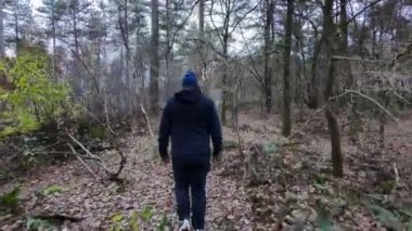 Bir insan, uzun ağaçlar ve doğal güzelliklerle çevrili huzurlu bir ormanda yaprak kaplı bir yol boyunca yürür.