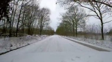 Uzun ağaçların çerçevelediği, kışın güzelliğini yansıtan karla kaplı bir yolun huzurlu manzarası.