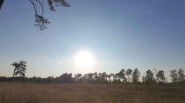 Büyüleyici ve huzurlu bir manzara, dingin ve sakin bir arazide canlı bir gün batımı sergiliyor.