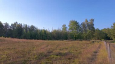 Uçsuz bucaksız otlaklarla sakin bir kırsal manzara, dingin bir ormanlık alan, ve kabarık bulutlu parlak mavi bir gökyüzü.