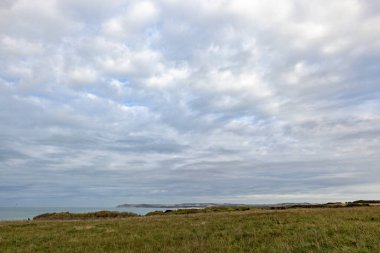 Bulutlu gökyüzü, çimenli kıyı ve okyanus manzaralı sakin bir atmosfer yaratıyor.