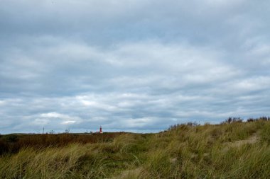Eierland, De Cocksdorp, Texel, Hollanda, 28 Ekim 2024, Sakin ve sakin bir sahil sahnesi Huysuz ve bulutlu bir gökyüzünün altında yuvarlanan otlak tepeler sergileniyor
