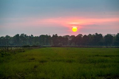 Huzurlu bir günbatımı canlı yeşil bir manzaranın üzerine sıcacık renkler serpiştiriyor. Doğa aşıkları için mükemmel.