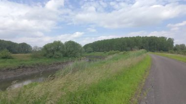 Hareketli yeşillik, sakin su ve parlak mavi gökyüzünün altında dolambaçlı bir yol ile süslenmiş sakin ve huzurlu bir nehir kıyısı.