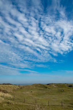 Eierland, De Cocksdorp, Texel, Hollanda, 28 Ekim 2024, berrak mavi gökyüzü altında, narin bulutlarla süslenmiş yemyeşil tepelerin yer aldığı sakin ve sakin bir manzara.