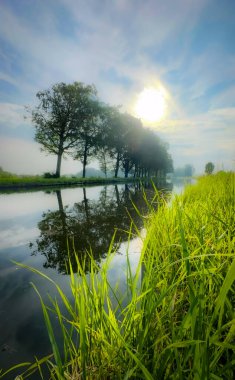 Bu sakin manzarada yemyeşil ağaçlar, sakin bir su kütlesi ve güneşli bir gökyüzünün altında canlı bir yeşillik var.