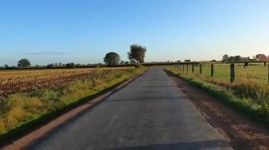 Güzel, huzurlu kırsal bir yol, canlı tarlalar ve açık mavi gökyüzünün altında yemyeşil bir alan.