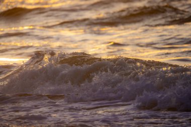 Okyanus dalgaları günbatımının ılık parıltısında hafifçe parıldıyor altın ışık, doğada saf sükuneti yakalıyor.