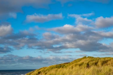 Huzurlu ve sakin bir manzara güzel görünen çimenli kumullar karşısında baş döndürücü derecede canlı bir gökyüzü